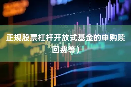 正规股票杠杆开放式基金的申购赎回费等）