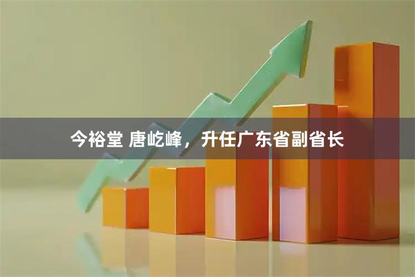 今裕堂 唐屹峰，升任广东省副省长