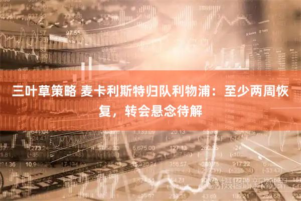 三叶草策略 麦卡利斯特归队利物浦：至少两周恢复，转会悬念待解