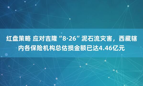 红盘策略 应对吉隆“8·26”泥石流灾害,西藏辖内各保险机构总估损金额已达4.46亿元
